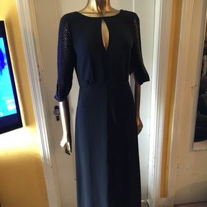 BCBG Maxazria Long Dress
